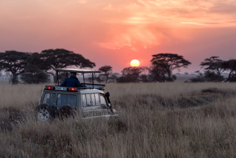 The 5 Highest-Rated No-Kill Safaris in Africa